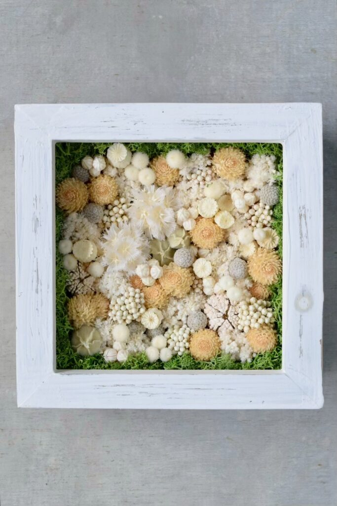 森の奥でひっそりと息づいているような、小さな植物の世界。東京の花屋『叢屋kusamuraya』が手がける、ナチュラルカラーのウッドボックス植物インテリア。