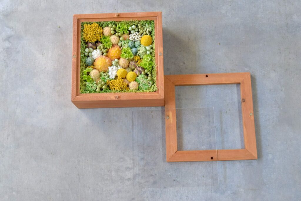 森の奥でひっそりと息づいているような、小さな植物の世界。東京の花屋『叢屋kusamuraya』が手がける、ナチュラルカラーのウッドボックス植物インテリア。