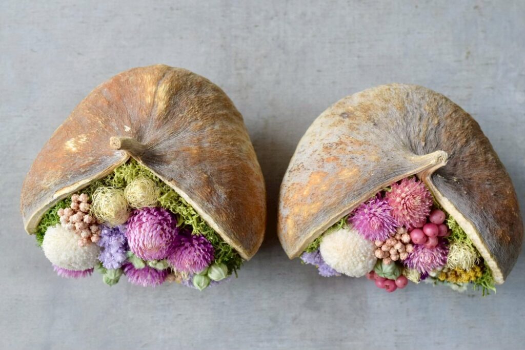 東京の花屋『叢屋kusamuraya』が手がける幸福をもたらすと言われる縁起物のブッダナッツを器にしたドライフラワーアレンジ