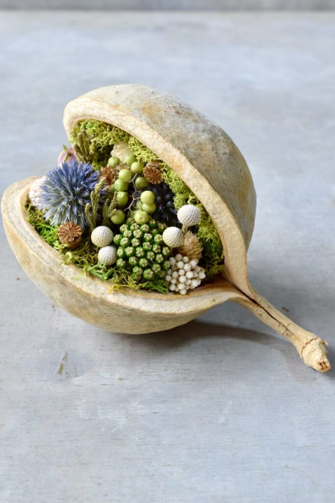 東京の花屋『叢屋kusamuraya』が手がける幸福をもたらすと言われる縁起物のブッダナッツを器にしたドライフラワーアレンジ