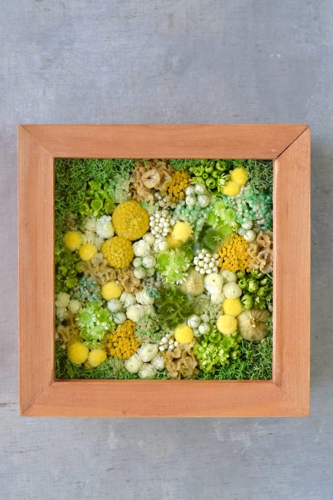 森の奥でひっそりと息づいているような、小さな植物の世界。東京の花屋『叢屋kusamuraya』が手がける、ナチュラルカラーのウッドボックス植物インテリア。