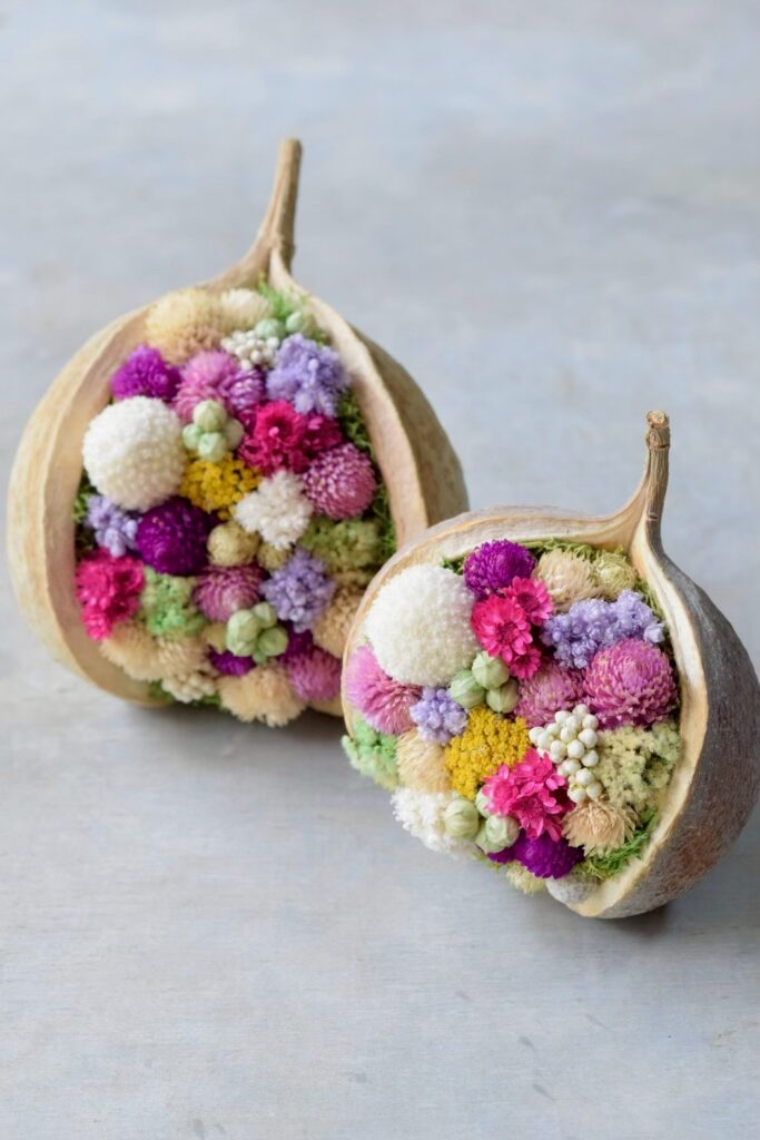 Buddha Nuts – 叢屋 kusamuraya