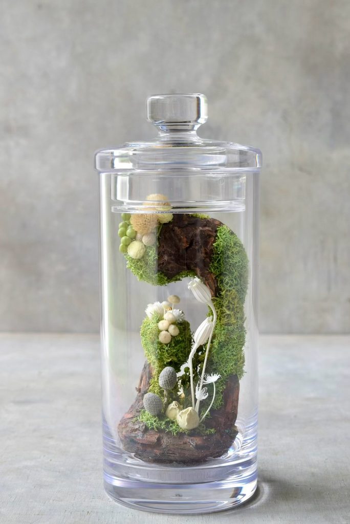 叢屋のドライフラワーを用いて、鬱蒼とした植物群が広がる深い森の一角を切り取ったようなボタニカルオブジェ。苔や木皮を組み合わせ、植物が群生する森の景色をジオラマのように立体的に表現しました。