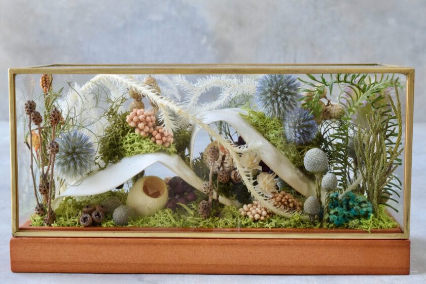 MO-2 – 叢屋 kusamuraya