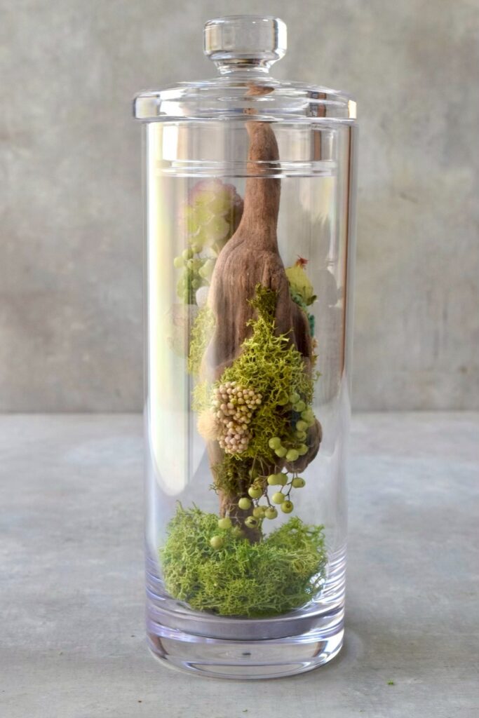 苔が流木を包み込み、植物が自由に伸びる小さな森のようなインテリア。東京の花屋『叢屋kusamuraya』が作る、ひとつひとつ違う流木のオブジェです。