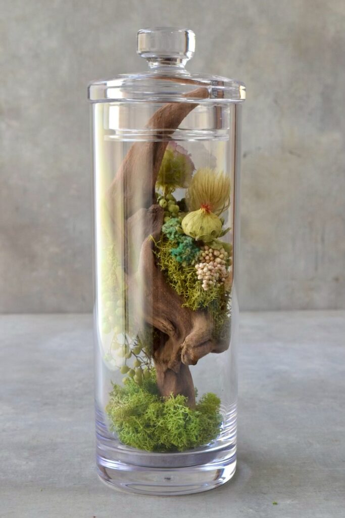 苔が流木を包み込み、植物が自由に伸びる小さな森のようなインテリア。東京の花屋『叢屋kusamuraya』が作る、ひとつひとつ違う流木のオブジェです。