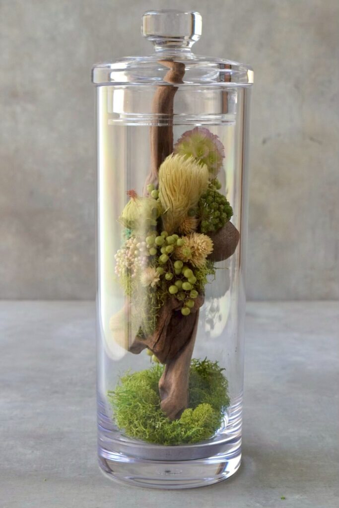 苔が流木を包み込み、植物が自由に伸びる小さな森のようなインテリア。東京の花屋『叢屋kusamuraya』が作る、ひとつひとつ違う流木のオブジェです。