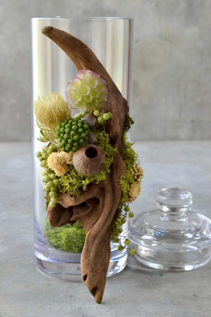 苔が流木を包み込み、植物が自由に伸びる小さな森のようなインテリア。東京の花屋『叢屋kusamuraya』が作る、ひとつひとつ違う流木のオブジェです。