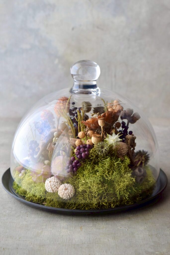 東京の花屋 叢屋Kusamurayaのドライフラワーインテリア雑貨。アンティーク調のドーム型ケースに、植物標本をイメージしてデザインされたドライフラワーインテリア。自宅用やギフト用として人気のアレンジメントです。