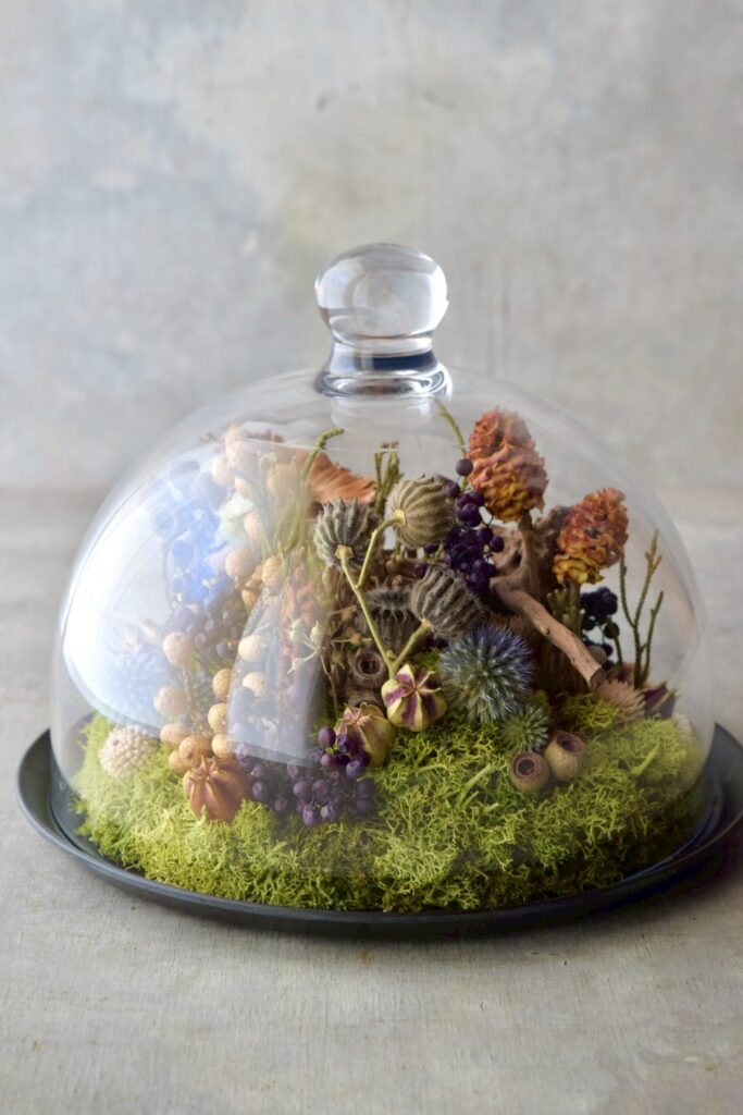 東京の花屋 叢屋Kusamurayaのドライフラワーインテリア雑貨。アンティーク調のドーム型ケースに、植物標本をイメージしてデザインされたドライフラワーインテリア。自宅用やギフト用として人気のアレンジメントです。