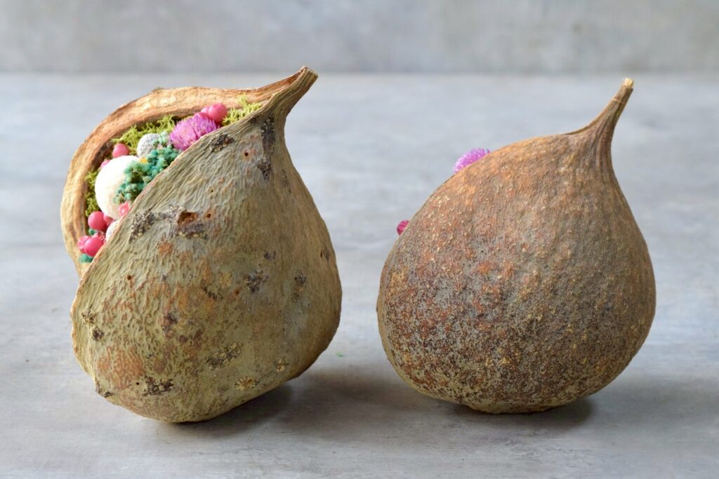 東京の花屋。幸福をもたらすと言われる縁起物のブッダナッツを器にした叢屋Kusamurayaドライフラワーアレンジ
誕生日・記念日ギフトや自宅インテリアにおすすめ。