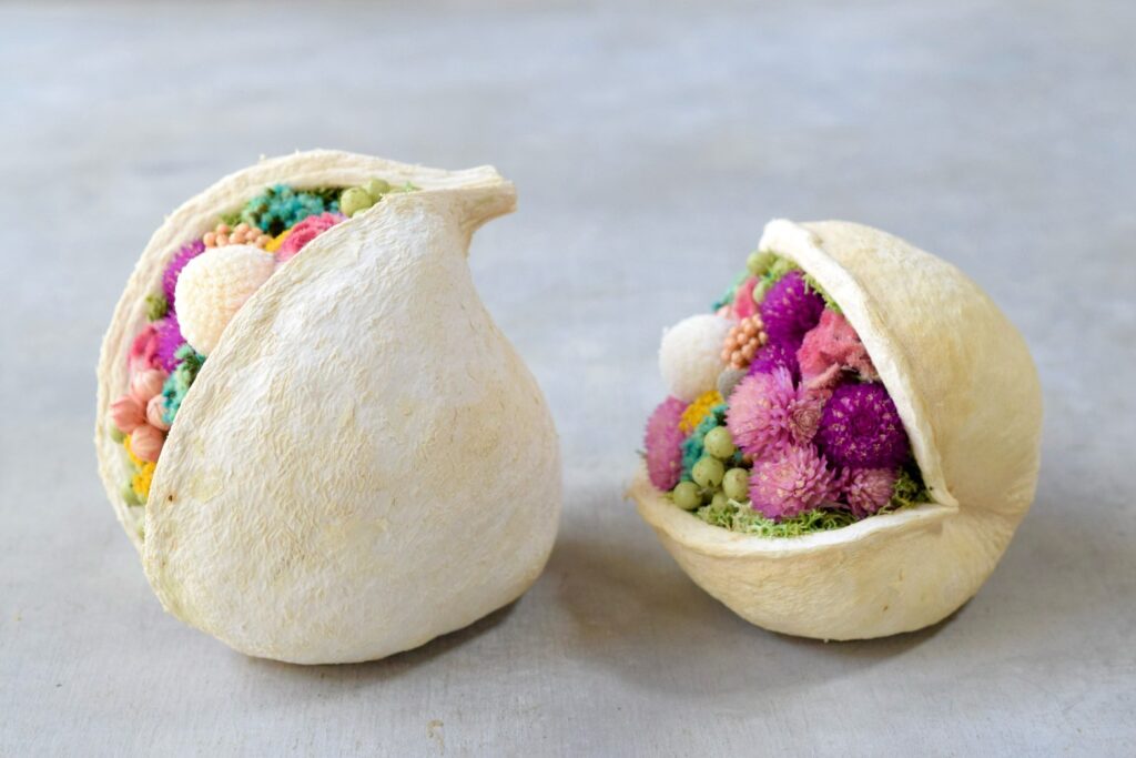 東京の花屋。幸福をもたらすと言われる縁起物のブッダナッツを器にした叢屋Kusamurayaドライフラワーアレンジ
誕生日・記念日ギフトや自宅インテリアにおすすめ。