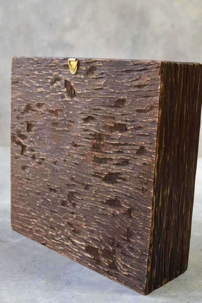 植物が群生して息づくような、不思議で奇妙な世界を閉じ込めた東京の花屋『叢屋kusamuraya』の植物インテリア。壁掛けに出来る立体装飾として楽しめるひと品。
