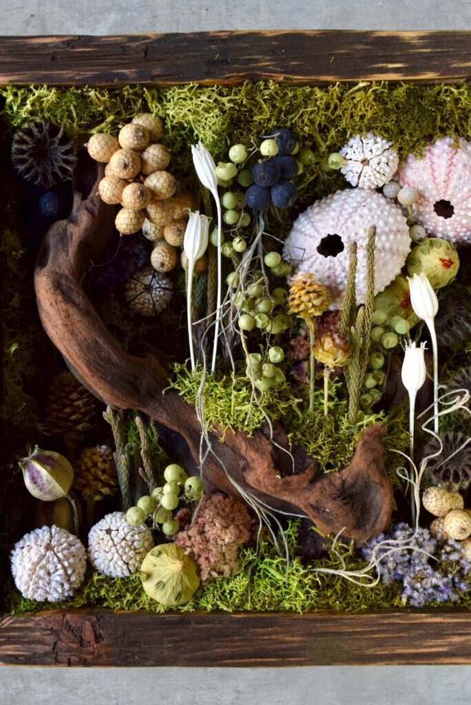 植物が群生して息づくような、不思議で奇妙な世界を閉じ込めた東京の花屋『叢屋kusamuraya』の植物インテリア。壁掛けに出来る立体装飾として楽しめるひと品。
