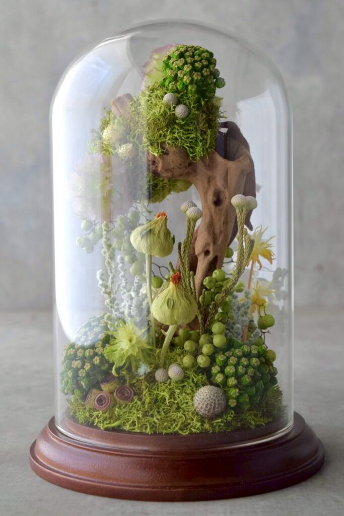 東京の花屋 叢屋Kusamurayaのドライフラワーインテリア雑貨。アンティーク調のドーム型ケースに、植物標本をイメージしてデザインされたドライフラワーインテリア。自宅用やギフト用として人気のアレンジメントです。