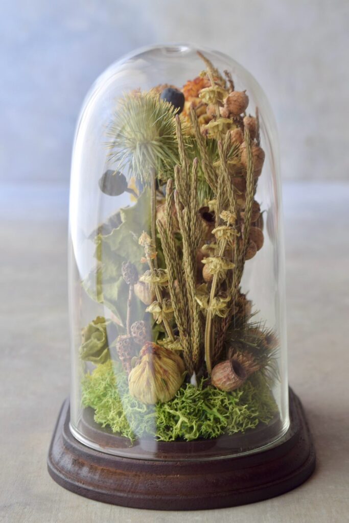 東京の花屋 叢屋Kusamurayaのドライフラワーインテリア雑貨。アンティーク調のドーム型ケースに、植物標本をイメージしてデザインされたドライフラワーインテリア。自宅用やギフト用として人気のアレンジメントです。