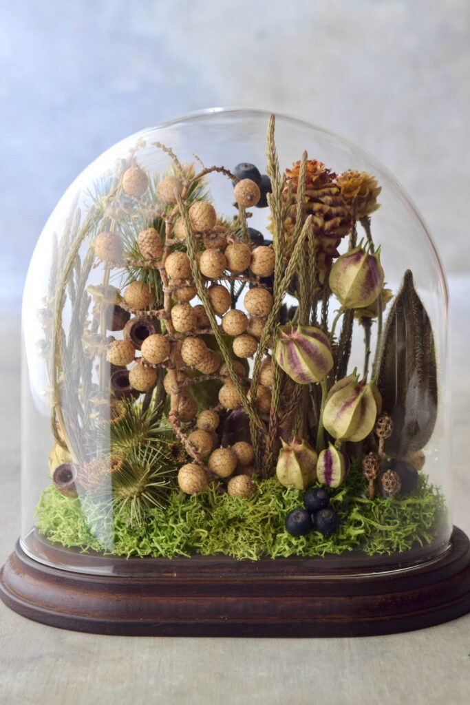 東京の花屋 叢屋Kusamurayaのドライフラワーインテリア雑貨。アンティーク調のドーム型ケースに、植物標本をイメージしてデザインされたドライフラワーインテリア。自宅用やギフト用として人気のアレンジメントです。