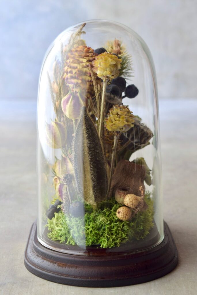東京の花屋 叢屋Kusamurayaのドライフラワーインテリア雑貨。アンティーク調のドーム型ケースに、植物標本をイメージしてデザインされたドライフラワーインテリア。自宅用やギフト用として人気のアレンジメントです。
