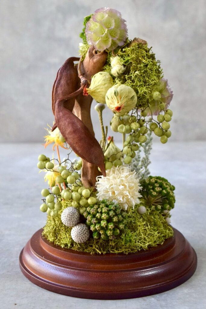 東京の花屋 叢屋Kusamurayaのドライフラワーインテリア雑貨。アンティーク調のドーム型ケースに、植物標本をイメージしてデザインされたドライフラワーインテリア。自宅用やギフト用として人気のアレンジメントです。