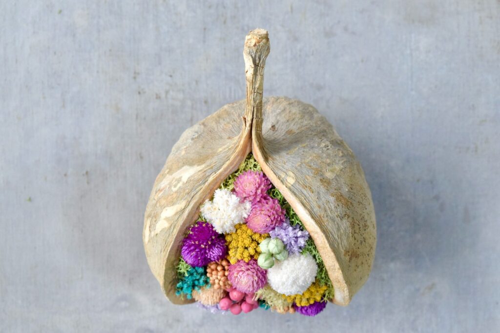 東京の花屋『叢屋kusamuraya』が手がける幸福をもたらすと言われる縁起物のブッダナッツを器にしたドライフラワーアレンジ