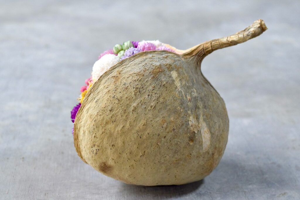 東京の花屋『叢屋kusamuraya』が手がける幸福をもたらすと言われる縁起物のブッダナッツを器にしたドライフラワーアレンジ