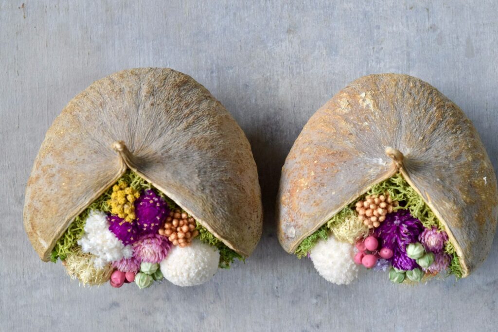 東京の花屋。幸福をもたらすと言われる縁起物のブッダナッツを器にした叢屋Kusamurayaドライフラワーアレンジ 誕生日・記念日ギフトや自宅インテリアにおすすめ。