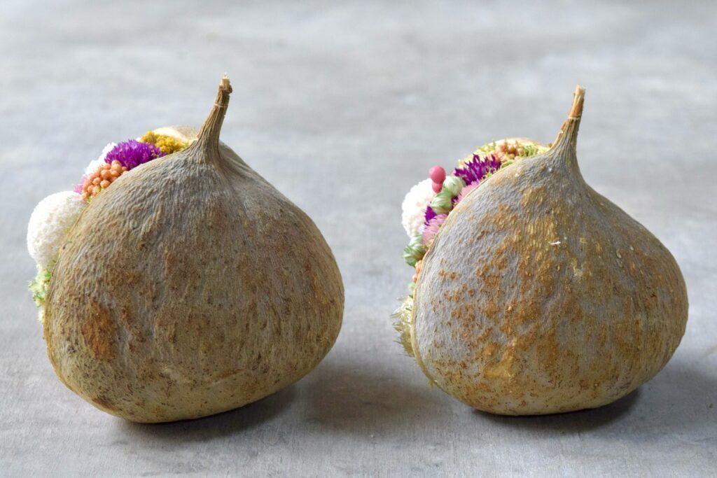 東京の花屋。幸福をもたらすと言われる縁起物のブッダナッツを器にした叢屋Kusamurayaドライフラワーアレンジ 誕生日・記念日ギフトや自宅インテリアにおすすめ。