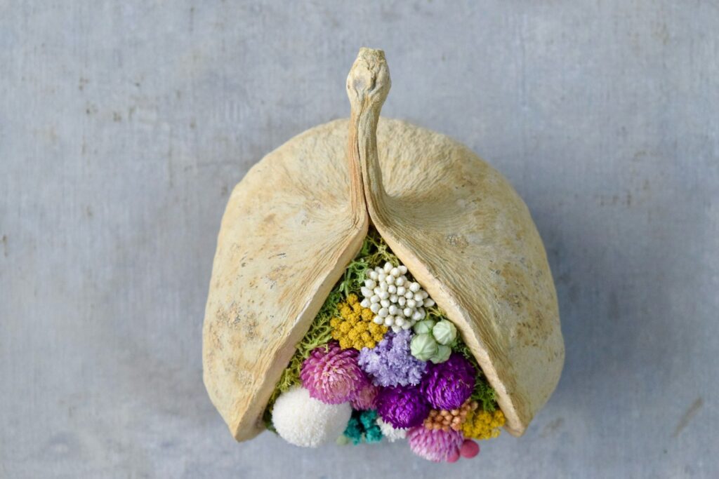 東京の花屋。幸福をもたらすと言われる縁起物のブッダナッツを器にした叢屋Kusamurayaドライフラワーアレンジ 誕生日・記念日ギフトや自宅インテリアにおすすめ。