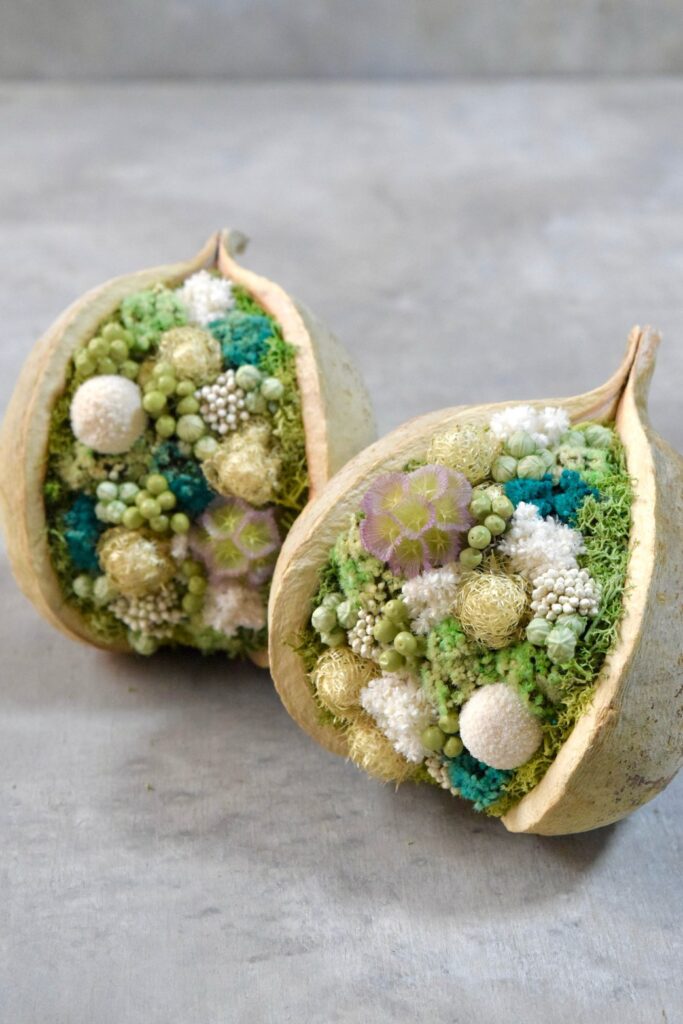 東京の花屋『叢屋kusamuraya』が手がける幸福をもたらすと言われる縁起物のブッダナッツを器にしたドライフラワーアレンジ