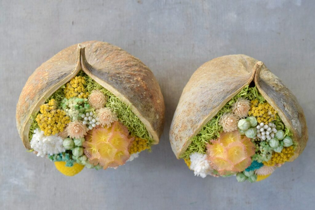 東京の花屋『叢屋kusamuraya』が手がける幸福をもたらすと言われる縁起物のブッダナッツを器にしたドライフラワーアレンジ