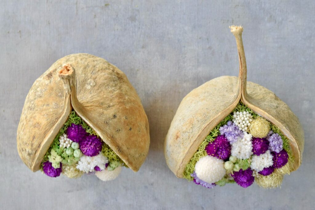 東京の花屋『叢屋kusamuraya』が手がける幸福をもたらすと言われる縁起物のブッダナッツを器にしたドライフラワーアレンジ。誕生日・記念日ギフトや自宅インテリアにおすすめです。