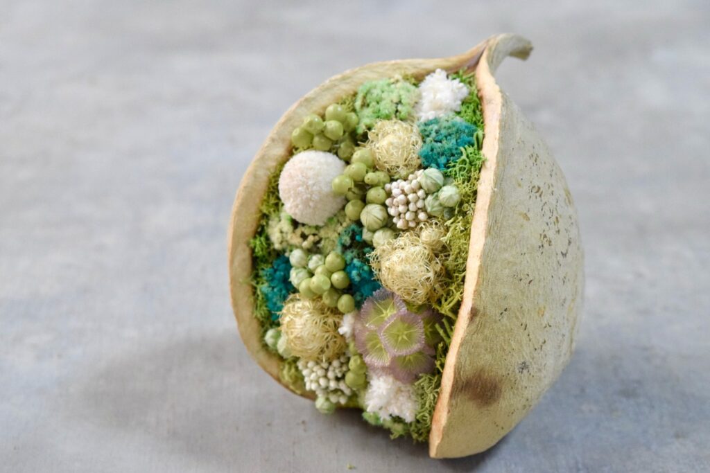 東京の花屋『叢屋kusamuraya』が手がける幸福をもたらすと言われる縁起物のブッダナッツを器にしたドライフラワーアレンジ