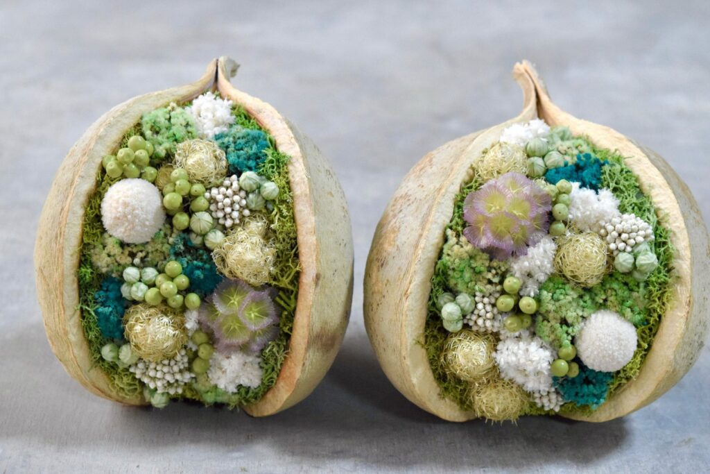 東京の花屋『叢屋kusamuraya』が手がける幸福をもたらすと言われる縁起物のブッダナッツを器にしたドライフラワーアレンジ