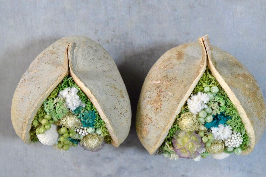 東京の花屋『叢屋kusamuraya』が手がける幸福をもたらすと言われる縁起物のブッダナッツを器にしたドライフラワーアレンジ