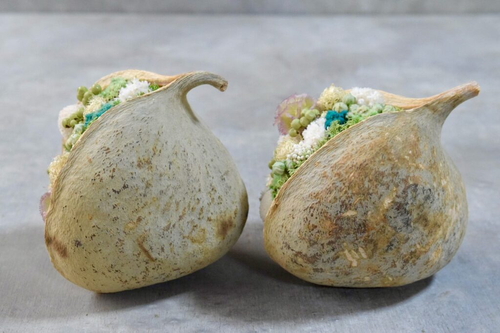 東京の花屋『叢屋kusamuraya』が手がける幸福をもたらすと言われる縁起物のブッダナッツを器にしたドライフラワーアレンジ