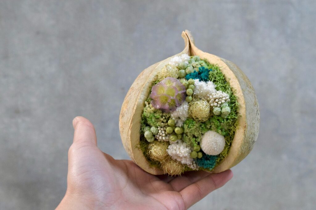 東京の花屋『叢屋kusamuraya』が手がける幸福をもたらすと言われる縁起物のブッダナッツを器にしたドライフラワーアレンジ