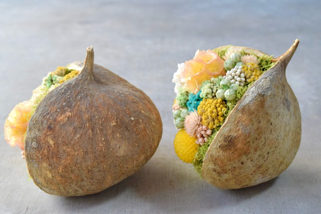 東京の花屋『叢屋kusamuraya』が手がける幸福をもたらすと言われる縁起物のブッダナッツを器にしたドライフラワーアレンジ