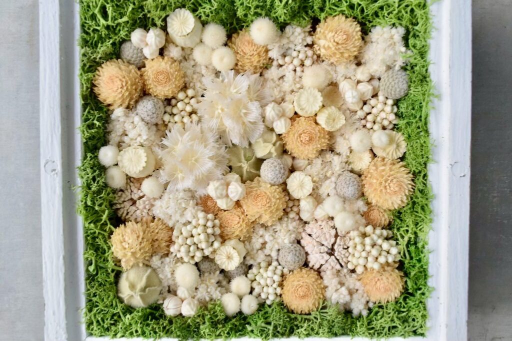 森の奥でひっそりと息づいているような、小さな植物の世界。東京の花屋『叢屋kusamuraya』が手がける、ナチュラルカラーのウッドボックス植物インテリア。