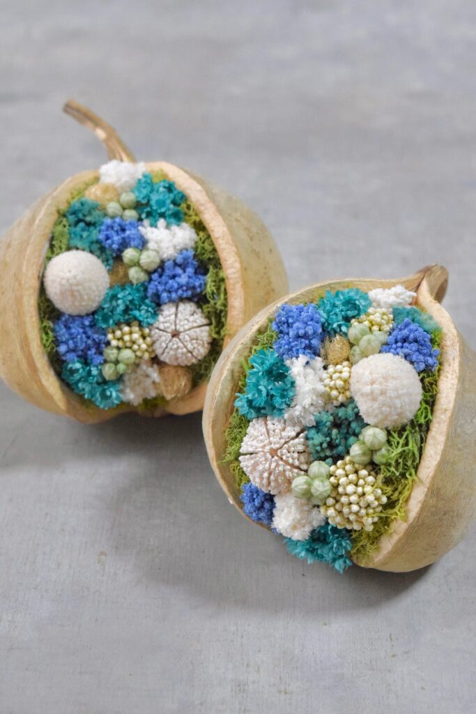 東京の花屋『叢屋kusamuraya』が手がける幸福をもたらすと言われる縁起物のブッダナッツを器にしたドライフラワーアレンジ