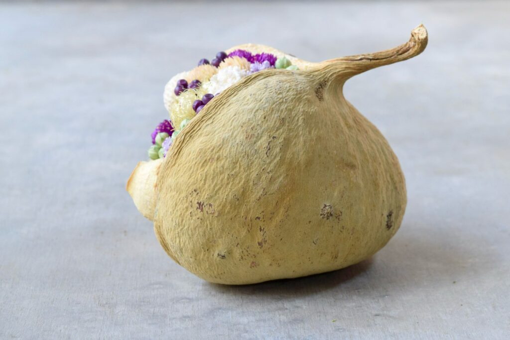 東京の花屋。幸福をもたらすと言われる縁起物のブッダナッツを器にした叢屋Kusamurayaドライフラワーアレンジ 誕生日・記念日ギフトや自宅インテリアにおすすめ。