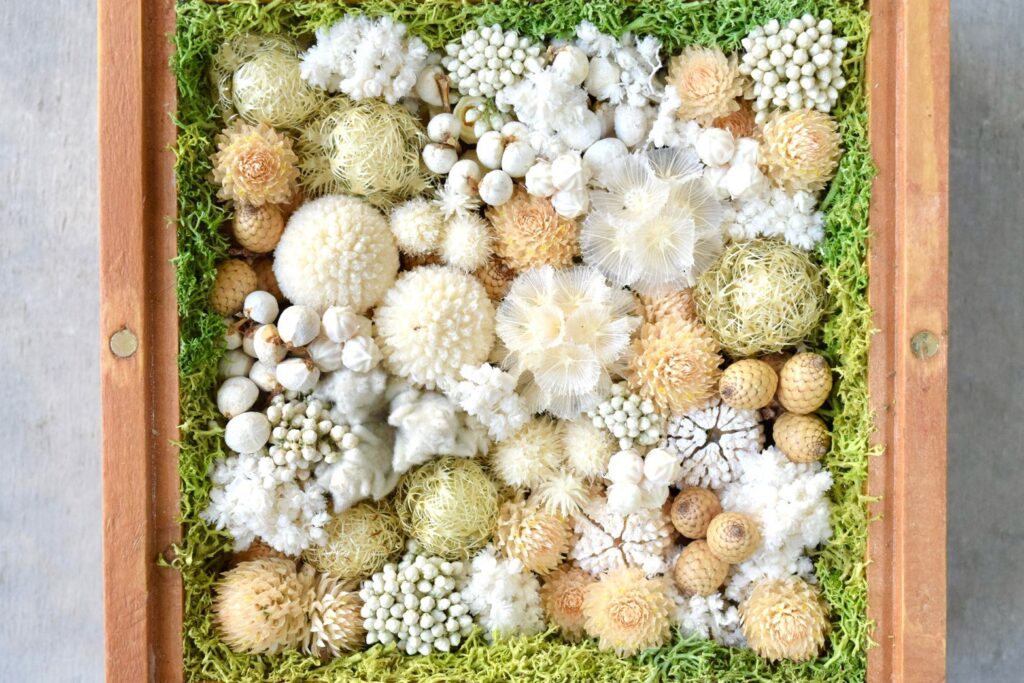 森の奥でひっそりと息づいているような、小さな植物の世界。東京の花屋『叢屋kusamuraya』が手がける、ナチュラルカラーのウッドボックス植物インテリア。