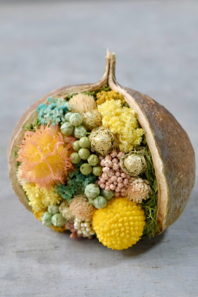 東京の花屋。幸福をもたらすと言われる縁起物のブッダナッツを器にした叢屋Kusamurayaドライフラワーアレンジ 誕生日・記念日ギフトや自宅インテリアにおすすめ。