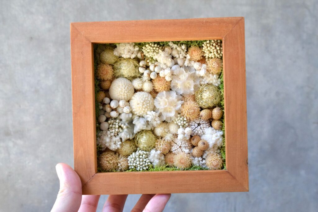 森の奥でひっそりと息づいているような、小さな植物の世界。東京の花屋『叢屋kusamuraya』が手がける、ナチュラルカラーのウッドボックス植物インテリア。