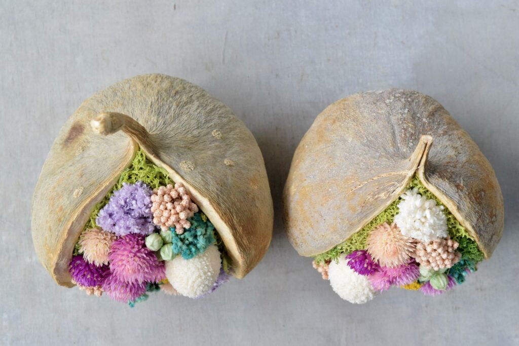 東京の花屋『叢屋kusamuraya』が手がける幸福をもたらすと言われる縁起物のブッダナッツを器にしたドライフラワーアレンジ