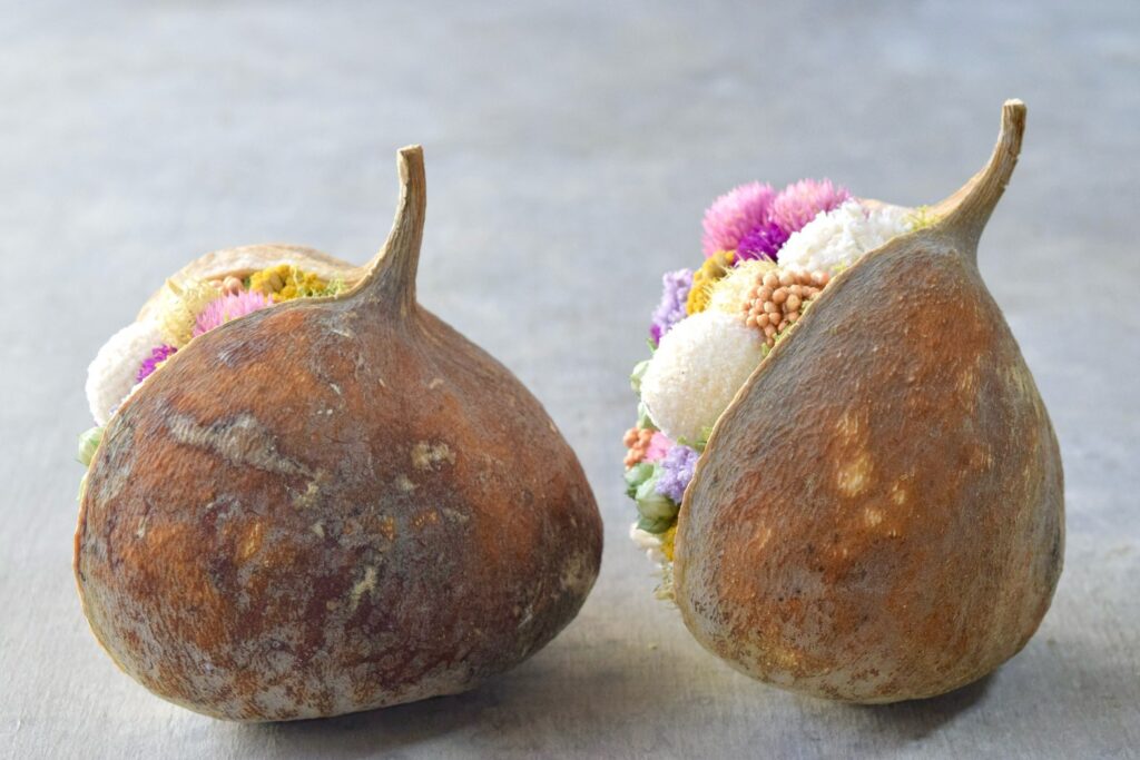 東京の花屋『叢屋kusamuraya』が手がける幸福をもたらすと言われる縁起物のブッダナッツを器にしたドライフラワーアレンジ。誕生日・記念日ギフトや自宅インテリアにおすすめです。
