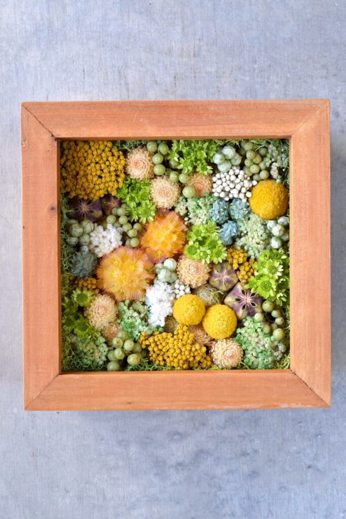 森の奥でひっそりと息づいているような、小さな植物の世界。東京の花屋『叢屋kusamuraya』が手がける、ナチュラルカラーのウッドボックス植物インテリア。