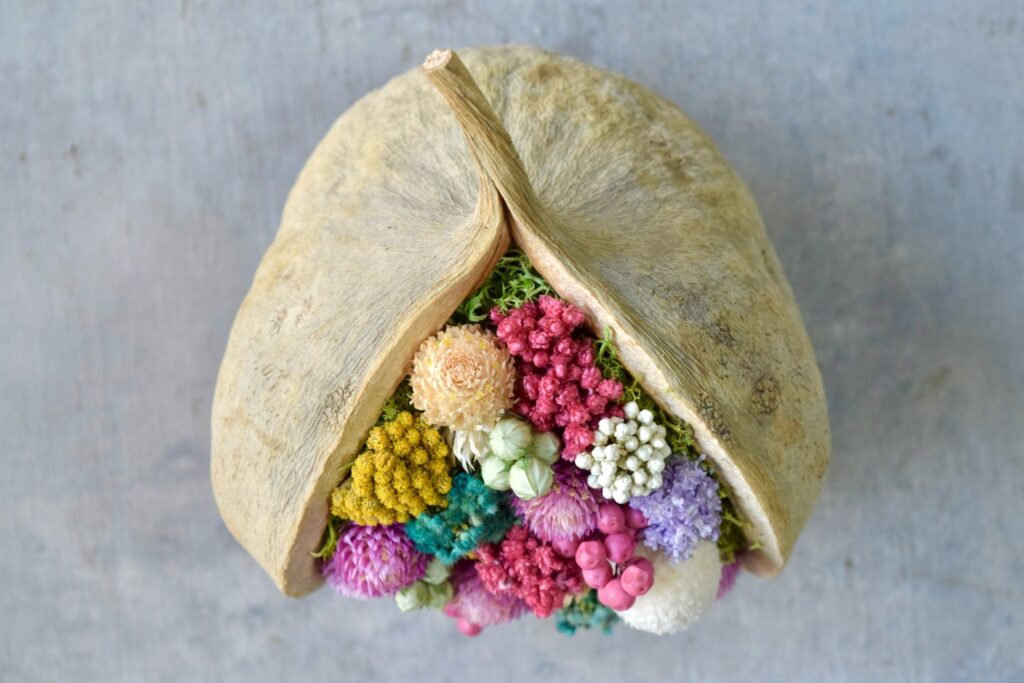 東京の花屋。幸福をもたらすと言われる縁起物のブッダナッツを器にした叢屋Kusamurayaドライフラワーアレンジ 誕生日・記念日ギフトや自宅インテリアにおすすめ。