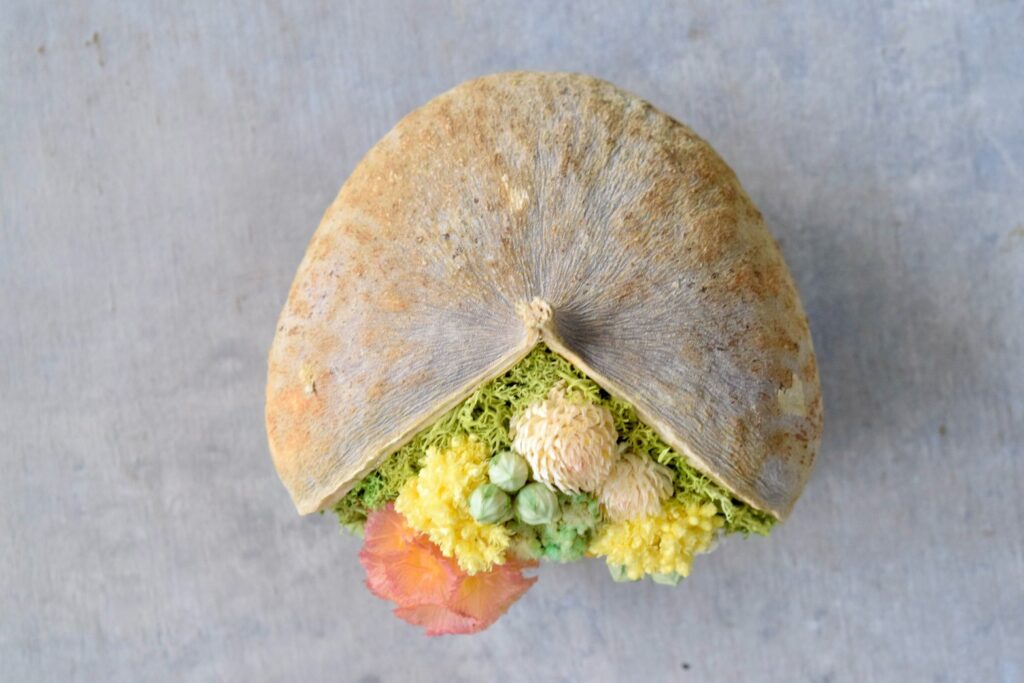 東京の花屋。幸福をもたらすと言われる縁起物のブッダナッツを器にした叢屋Kusamurayaドライフラワーアレンジ 誕生日・記念日ギフトや自宅インテリアにおすすめ。