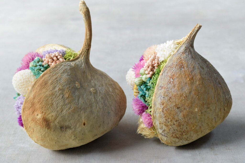 東京の花屋『叢屋kusamuraya』が手がける幸福をもたらすと言われる縁起物のブッダナッツを器にしたドライフラワーアレンジ