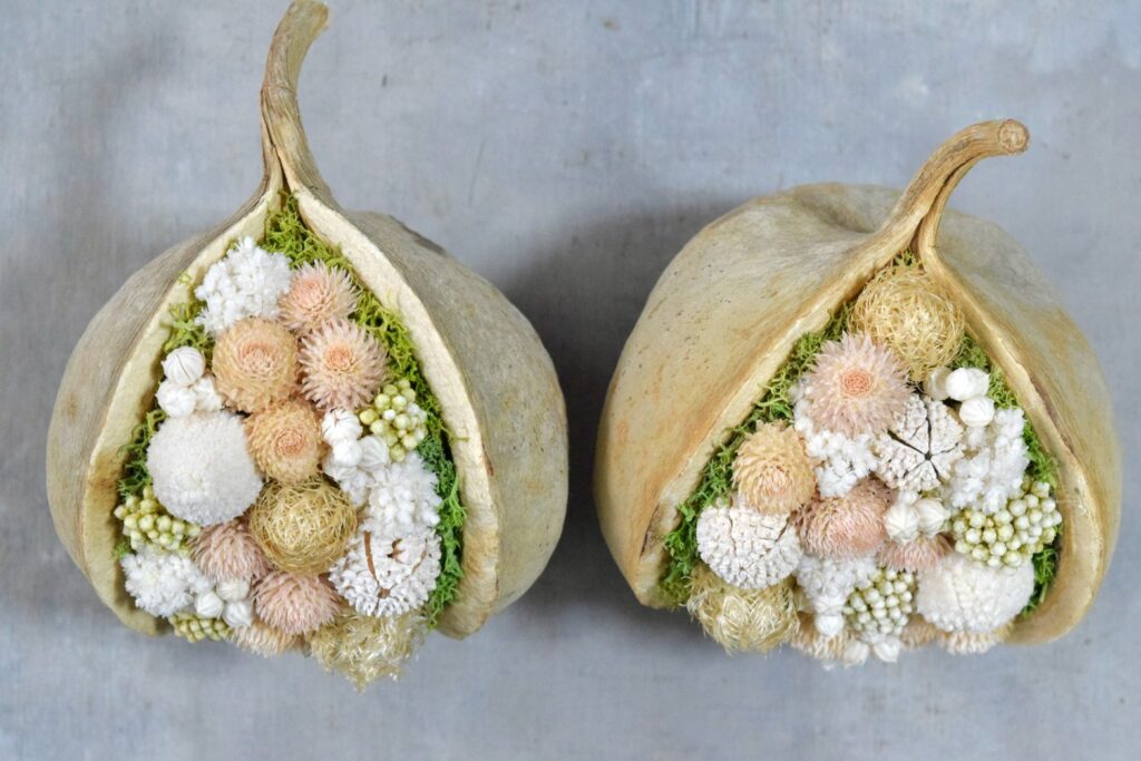 東京の花屋『叢屋kusamuraya』が手がける幸福をもたらすと言われる縁起物のブッダナッツを器にしたドライフラワーアレンジ